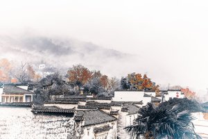 男人后悔挽回爱情